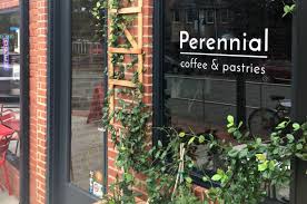 Perrenial Coffee Logo