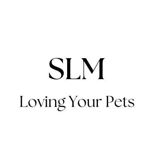 SLM Logo